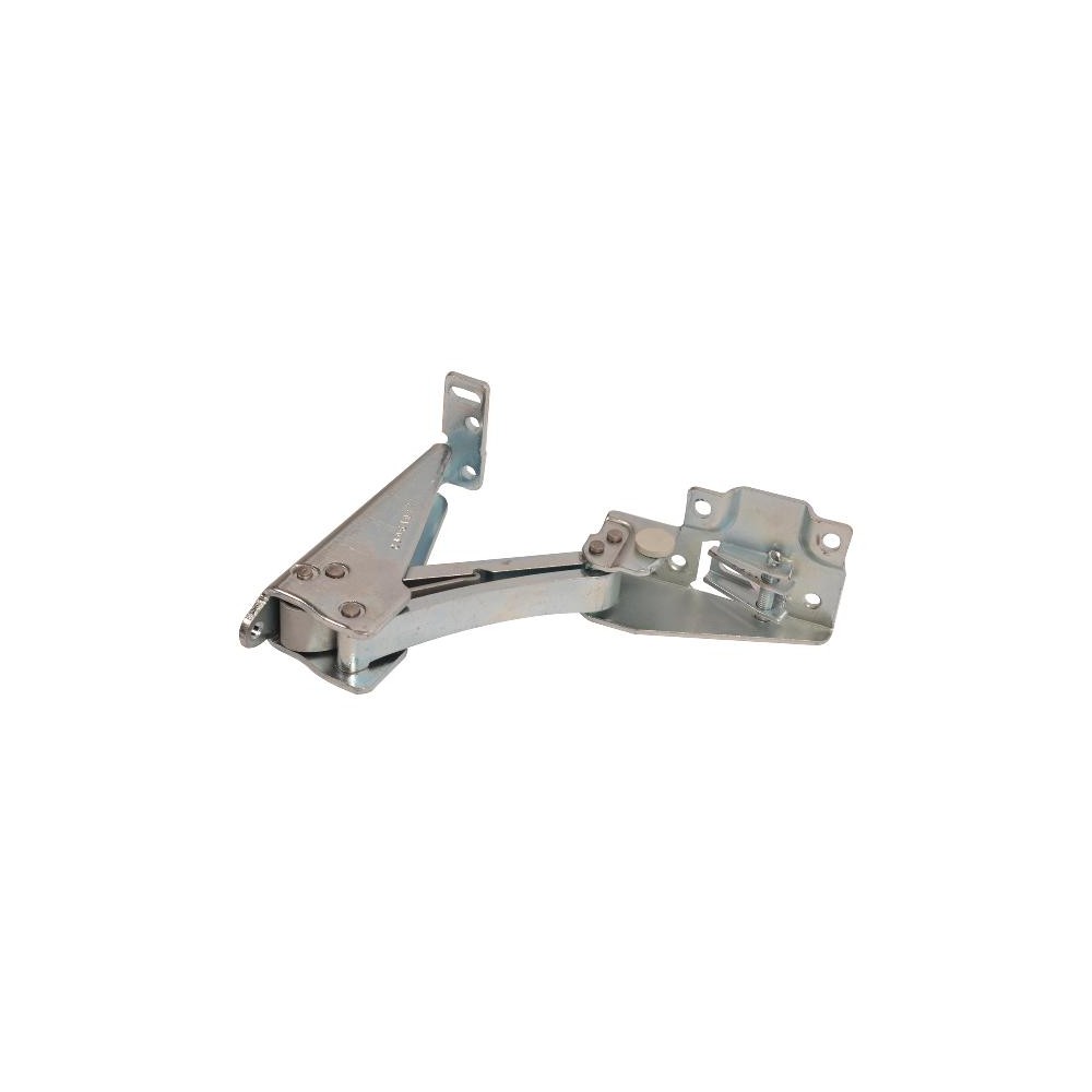 Cerniera superiore SX/INF.DX TECHNIC (APR.97) - C00144878