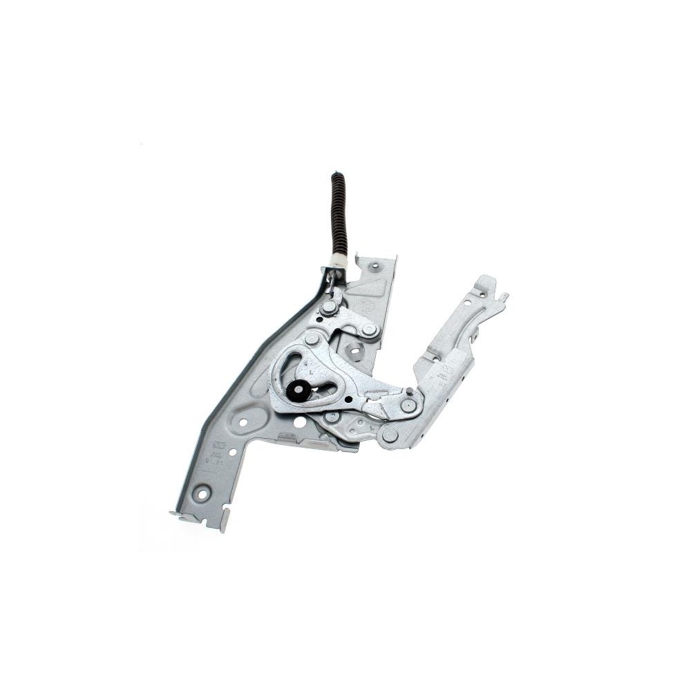 Cerniera SX Lavastoviglie C00538374