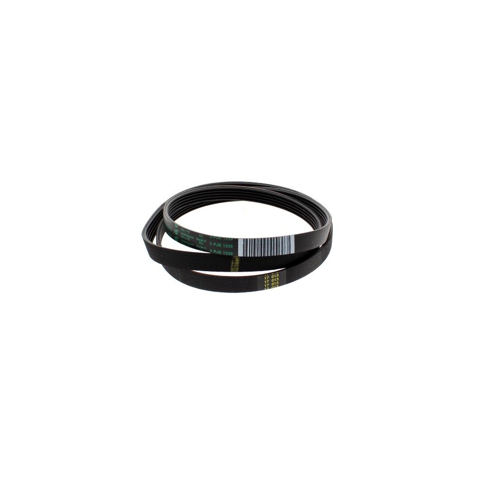 Cinghia lavatrice 1239/J5 481235818215