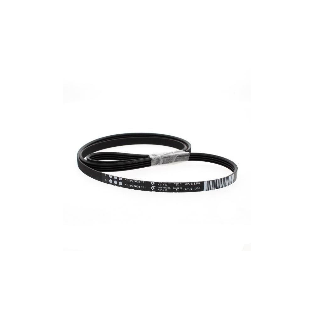 Cinghia lavatrice PV 1207 J4 EL 481235818204