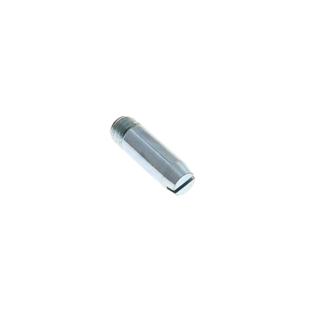 Perno cerniera inferiore - C00172138