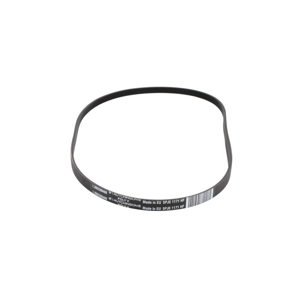 Cinghia Elastica POLY-V - C00932999