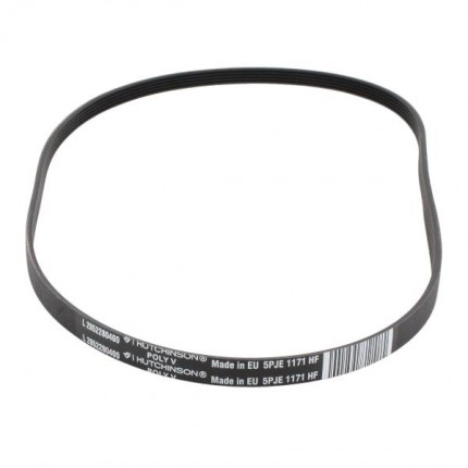 Cinghia Elastica POLY-V - C00932999