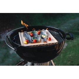 pietra refrattaria forno in terracotta refrattaria con pala WPRO -PTF200