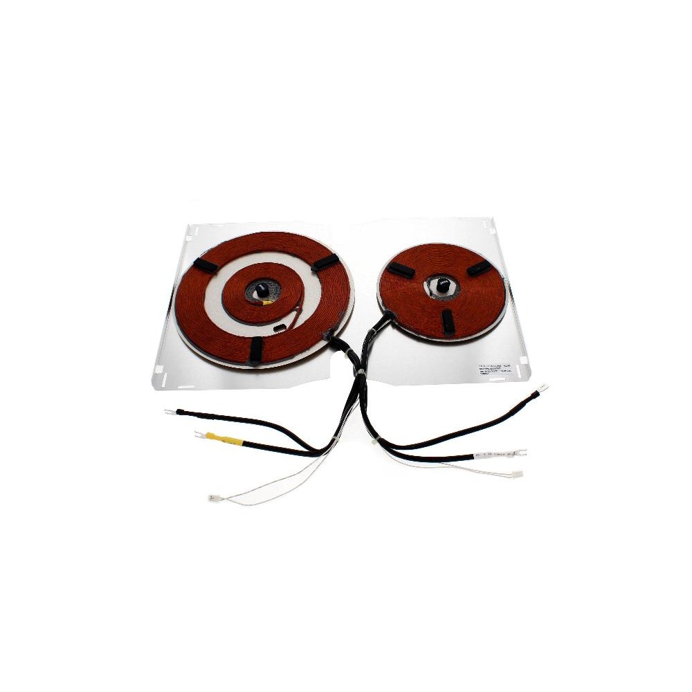 Assieme Piastre piano cottura C00627606