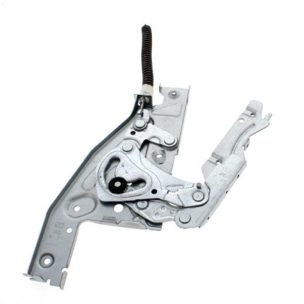 Cerniera SX Lavastoviglie C00538374