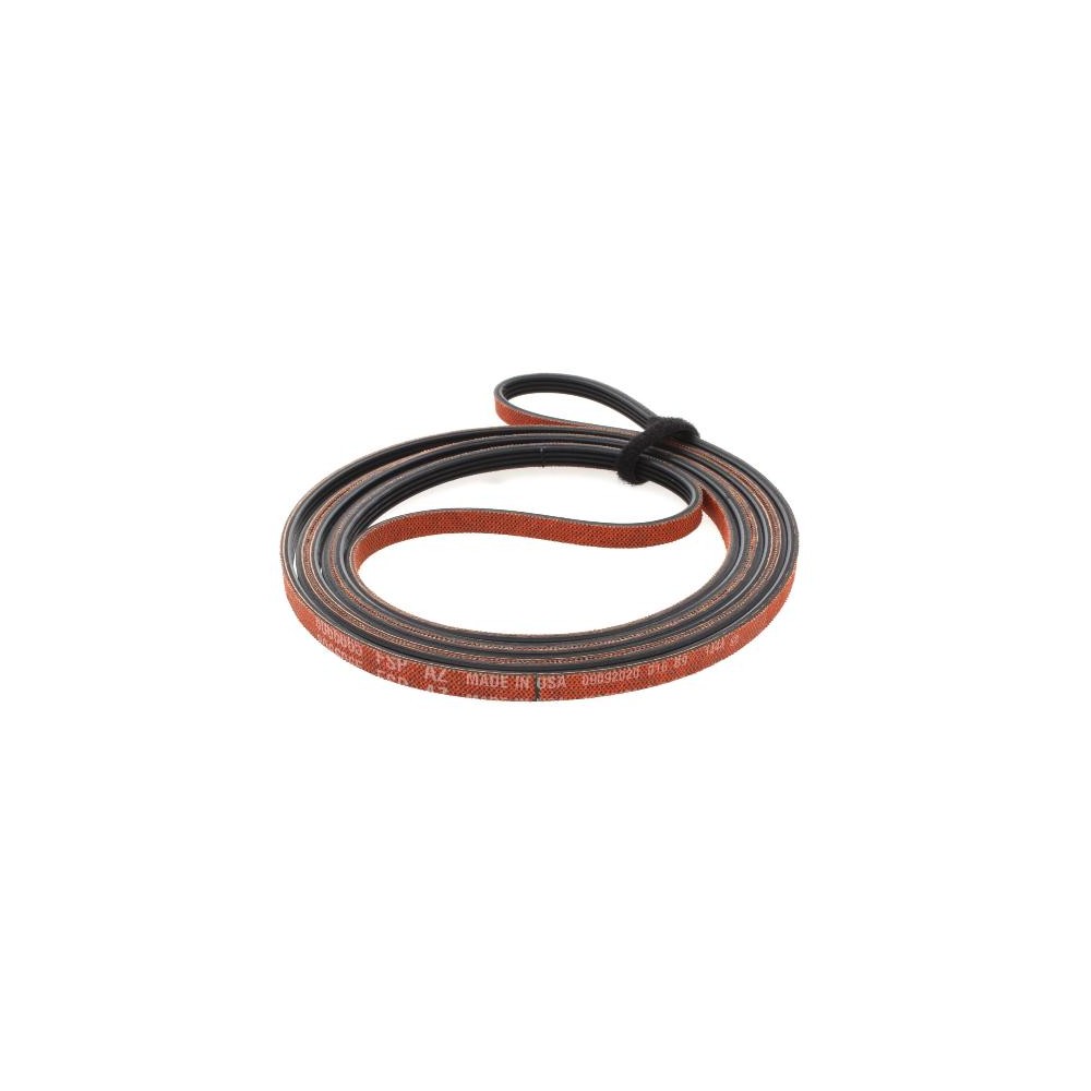 Cinghia asciugatrice - 481935818117