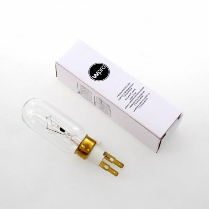 Lampadina Frigo T Click T25 Hv 40W Innesto Faston 484000000986